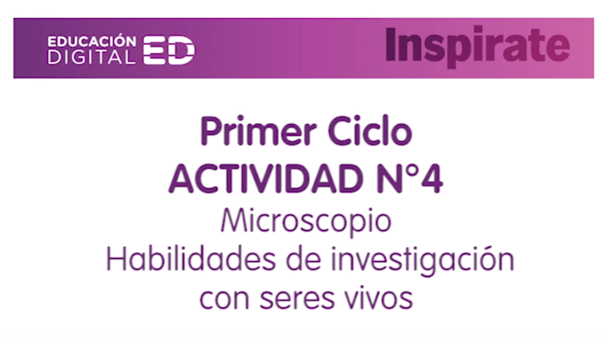 Imagen de proyecto