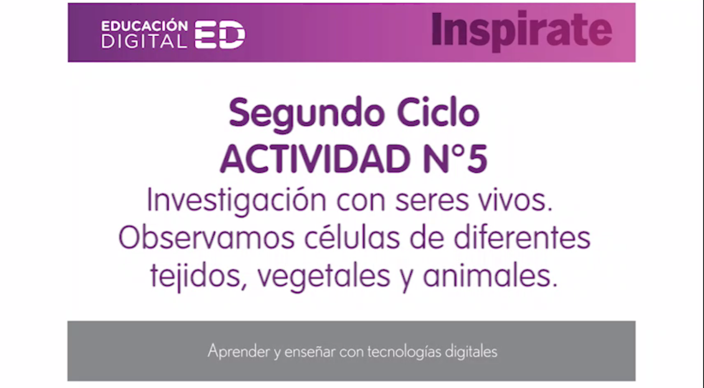 Imagen de proyecto