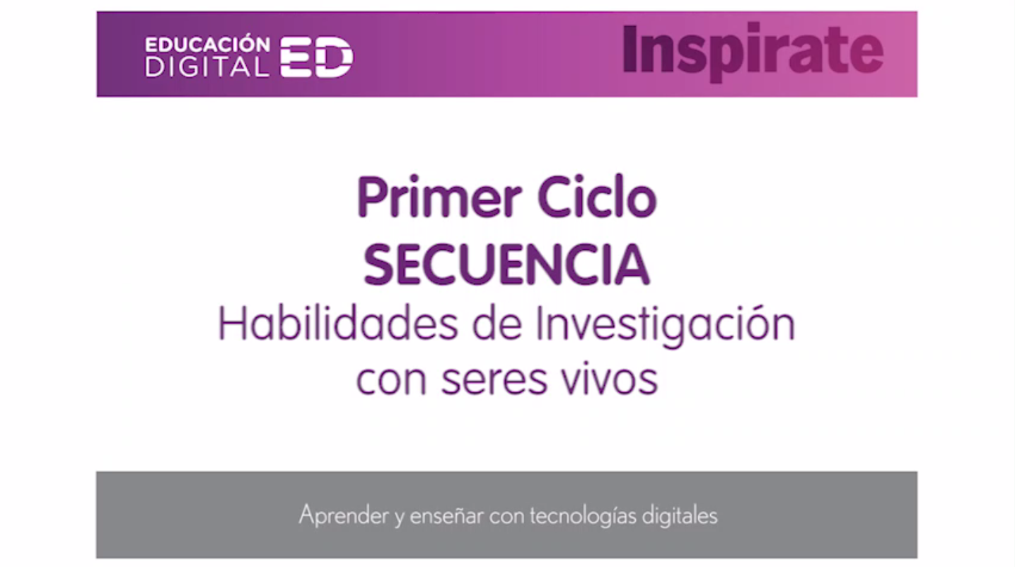 Imagen de proyecto
