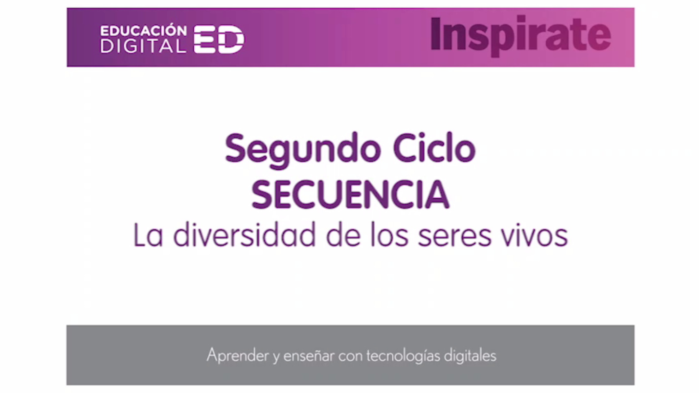 Imagen de proyecto