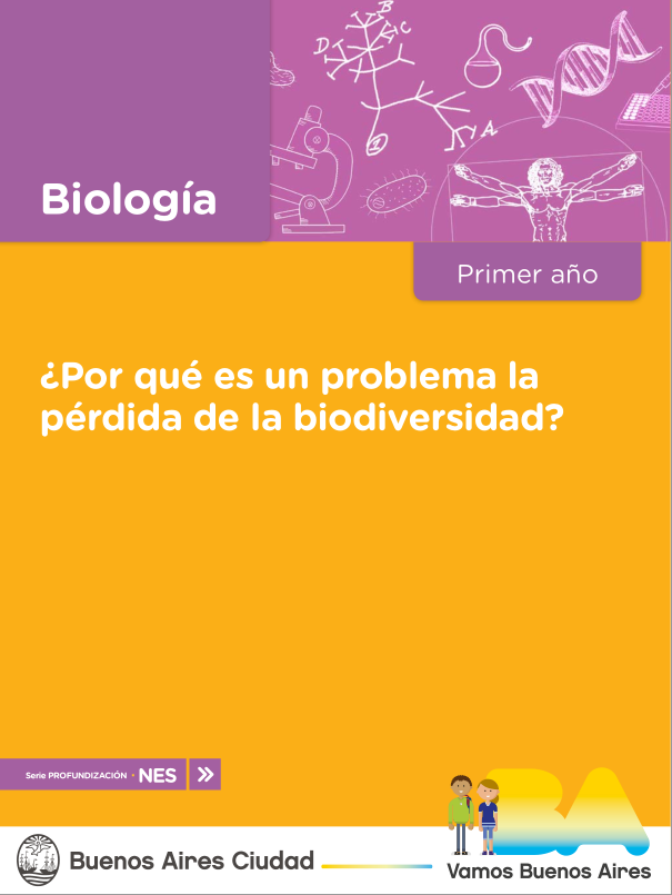 Imagen de proyecto